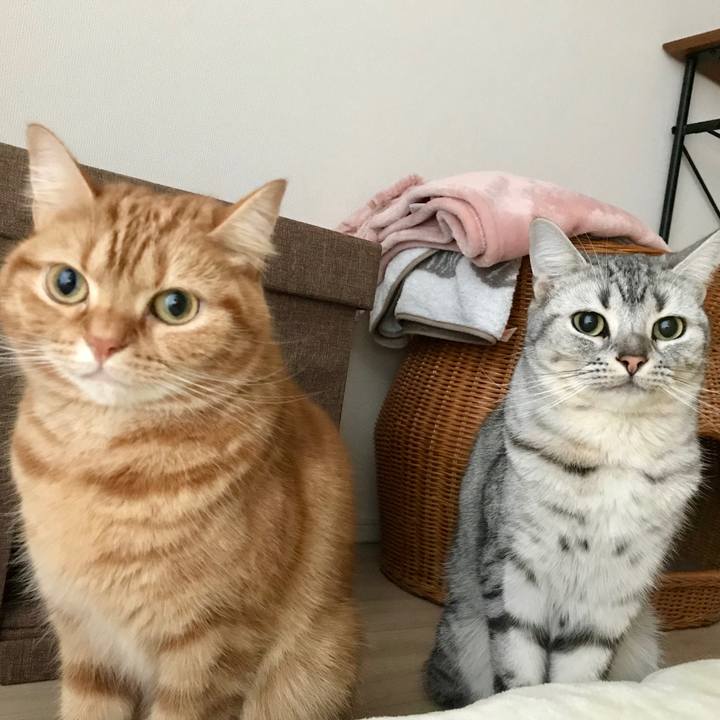 D02e0800 fab5 4027 bd4e c5cdcd39a0fe 1544919021506