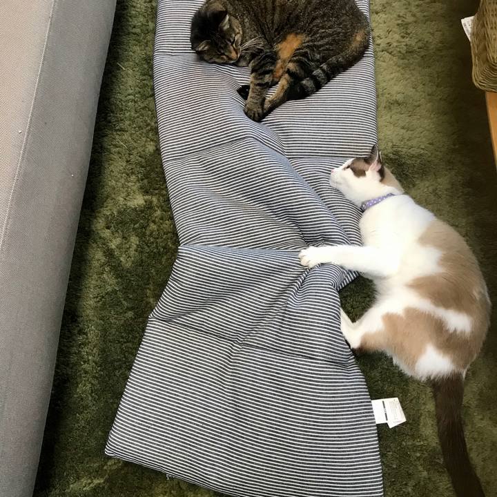 D02e0f7c 97ee 406e 9dcd 72119932ad22 1596518734028