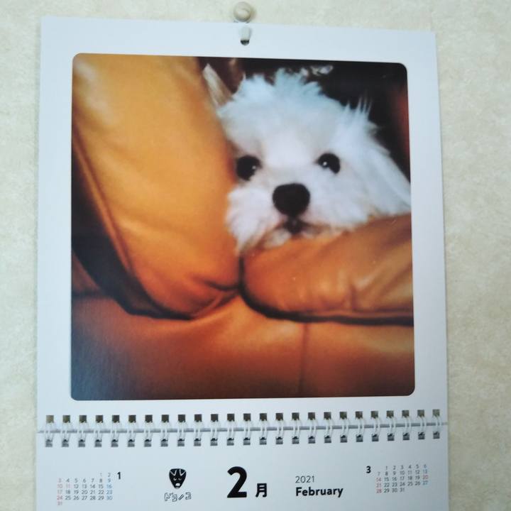 D02e2335 0c46 4dfb b6fb de5034b20036 1612223336358