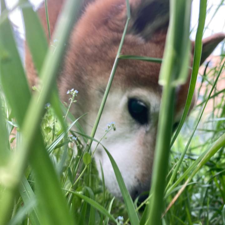 D02e2e6a 3310 469c 9d67 46b9031c80e8 1745316283073