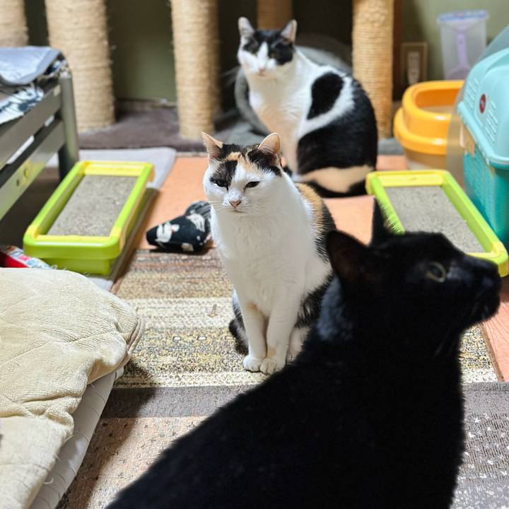 D02e3dd0 7e48 449e 8f68 06c5b3f17c1f 1700016631555