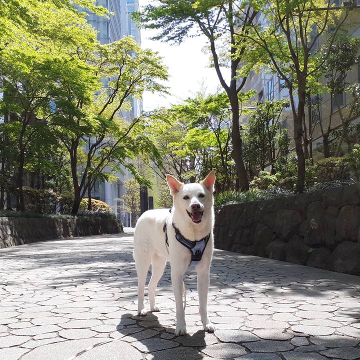 D02e94e8 1ddd 48cf 879e fec95ffa2f14 1680324142190