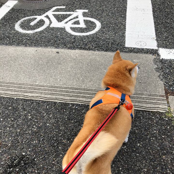 D02eb8a0 41c9 43ee 8d30 8bf747825334 1597296273868