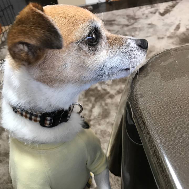 D02ec0f6 dd6e 41bb 8f4a 1f753d167c29 1584749422151