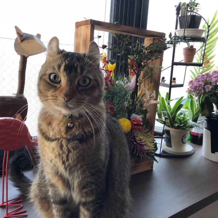 D02ee212 bccc 4cd0 88c1 e7ce375d51c3 1583814163825