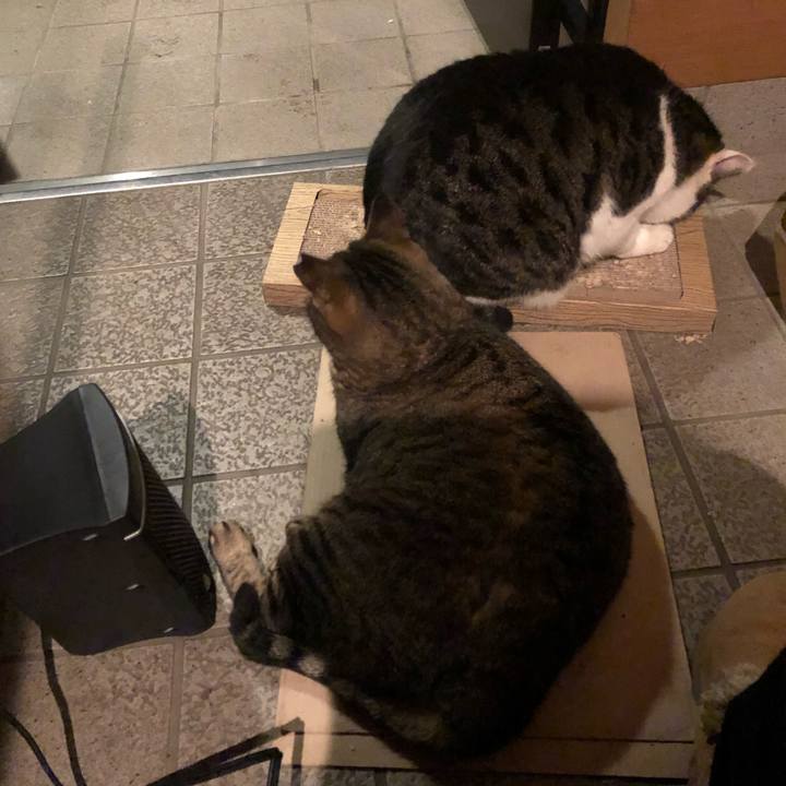 D02efd4d 5540 4fd9 8955 b61511dd9ce5 1581854033239