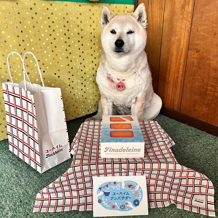 D02f092e c0fe 4fa3 9c2e 6d8898712f5a 1742974174146