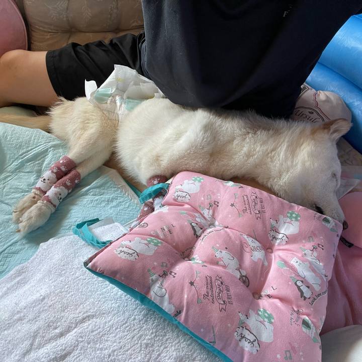 D02f1dbd d4be 4fb4 8781 aeb07c6c086f 1689906256636