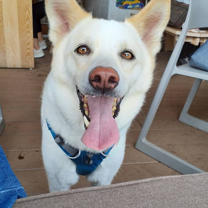 D02f4c3c 4468 45fa 9c8d 25e288b04fc3 1650720816281