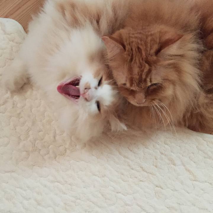 D02f5564 f0af 418d a347 1b665bf70bac 1568417981167