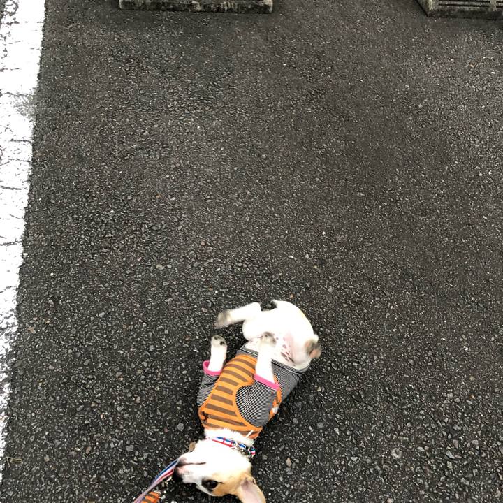 D02fa226 c247 4c61 bcde 7d0cbf36f004 1551279541383