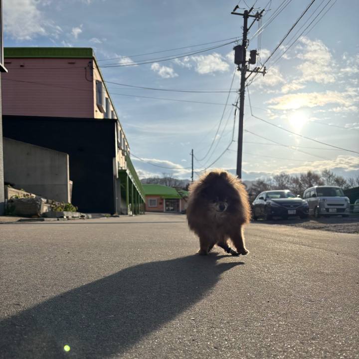 D02fc3ff b069 4d85 a4ad 2217452c4942 1745461910948