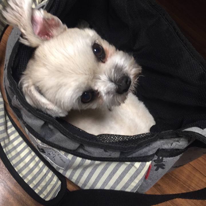 D02fd813 c726 4dd9 8343 c7dafea98070 1522840884006