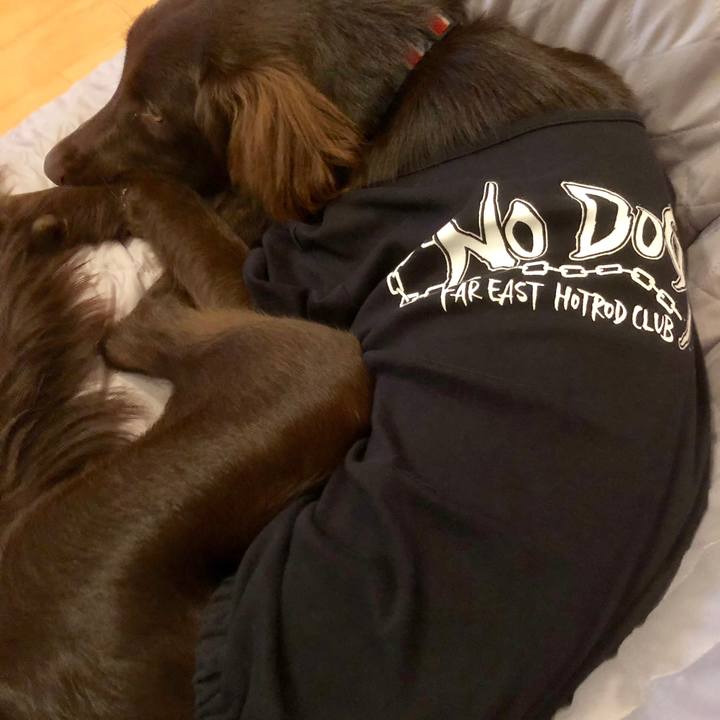 D02fda08 8a6b 491b 9e5e 4dd4e1a4d211 1563669953221