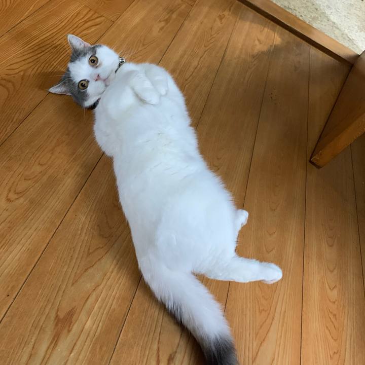 D02feb9f a887 4052 abc3 06e3eccdd300 1623286530764