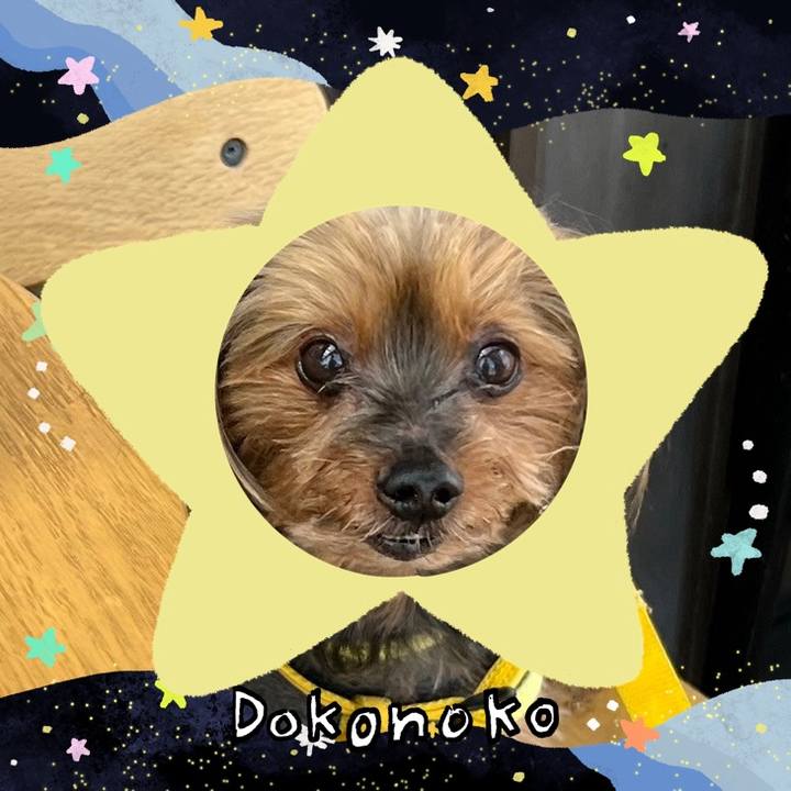 D0300d31 250b 4c62 b4db b8c7509b9cf1 1720779630853