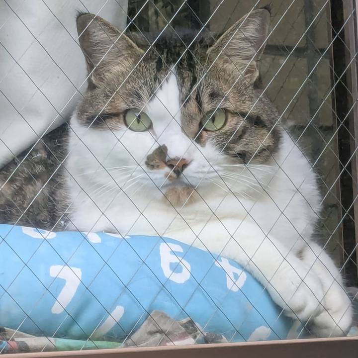 D0300df3 9069 4828 b427 e55192d8ca96 1755040018624