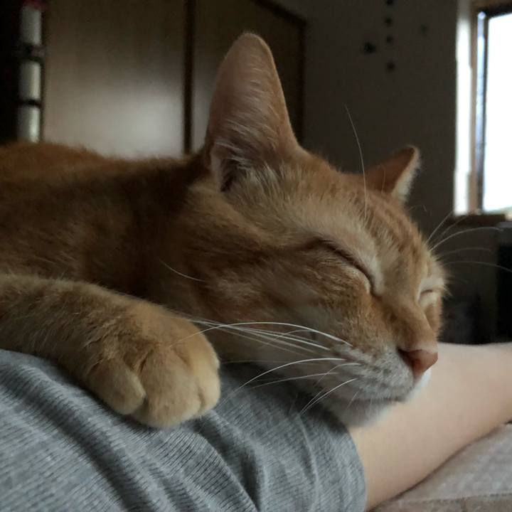 D0303a5b c2fe 44dc b322 34e4cab174f4 1597175232768