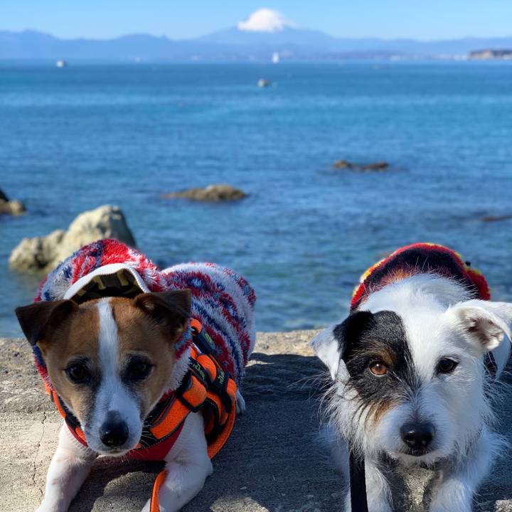 D0304103 2a6a 4d12 a6b6 09d22b972e91 1548559761624