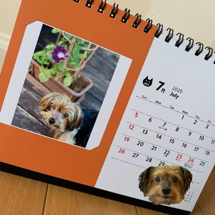 D03049ad 517d 4c80 99ac 72950857f1e8 1593559589264