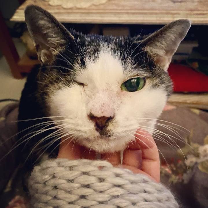 D0304a30 53d5 444f bfb3 4d8202bf406f 1638705379235