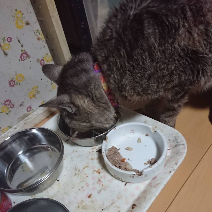 D030c9bd a806 4786 b4d2 2698f06fd6e8 1596941783026