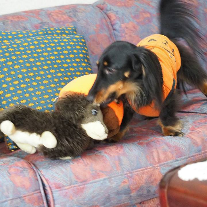 D030e14c cf21 47b3 8e4f 558ac1ab1bcf 1521765115530