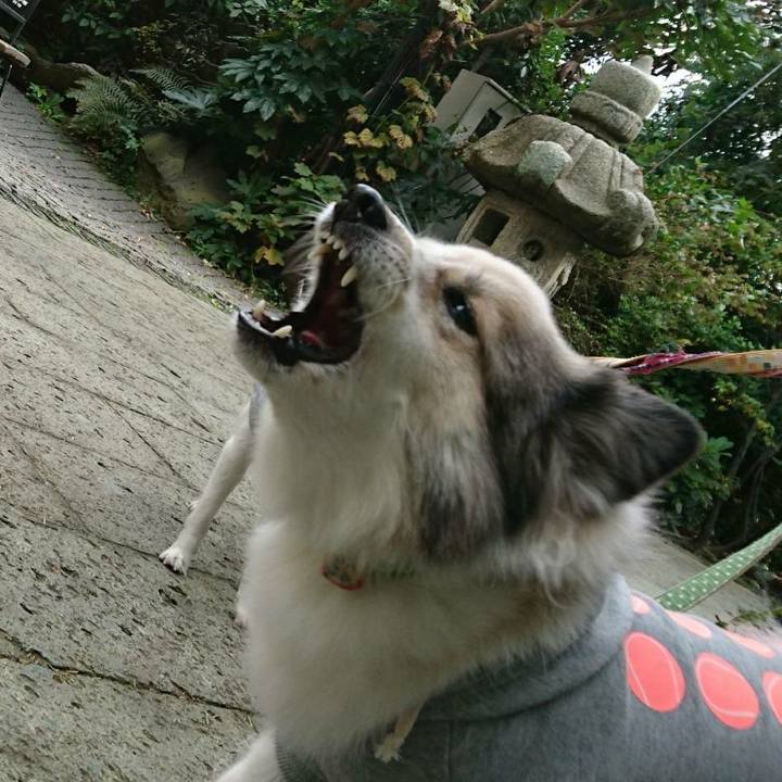 D030e17a a502 4d0e 97b5 b492af09d532 1513077270875