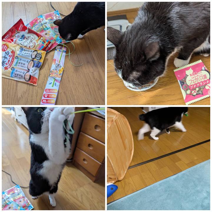 D030e668 4b50 46a3 87a4 22cdbac8219a 1772435262724