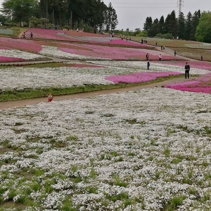 D030fac2 1be1 4c7e 85e3 62d70144a0c2 1651401469504