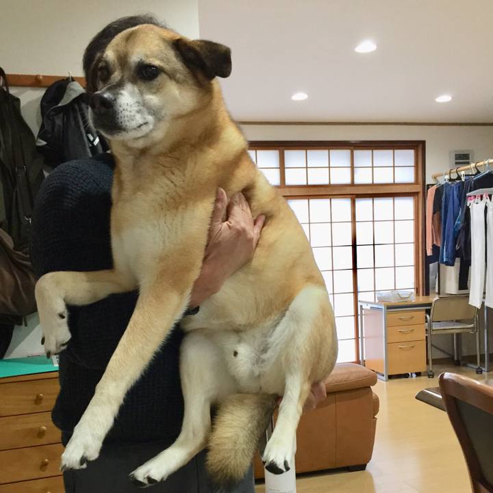 D030fdc8 3c5d 4317 9c6d efa9d633f370 1555230961453