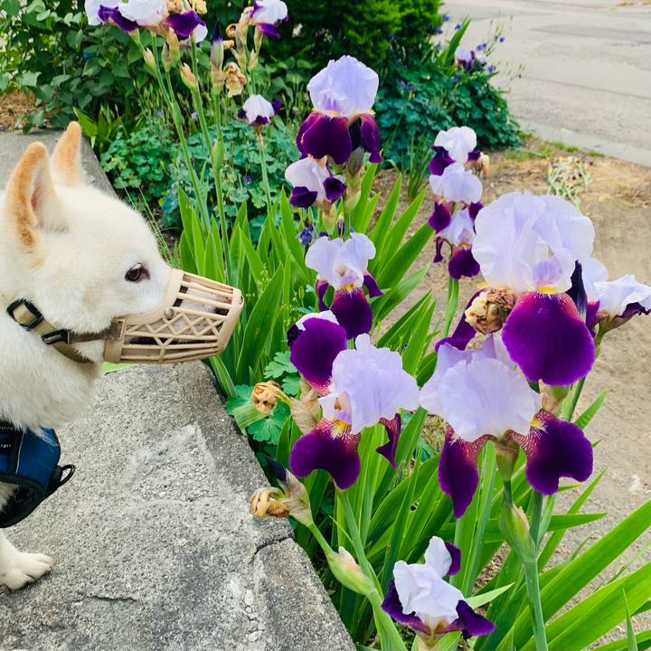 D031486f 5b83 47ca 95d0 8e7767c33455 1623875906971