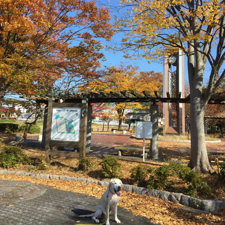 D0315b3b 49d6 48e7 b9df 7e27ef1e48af 1510028363922