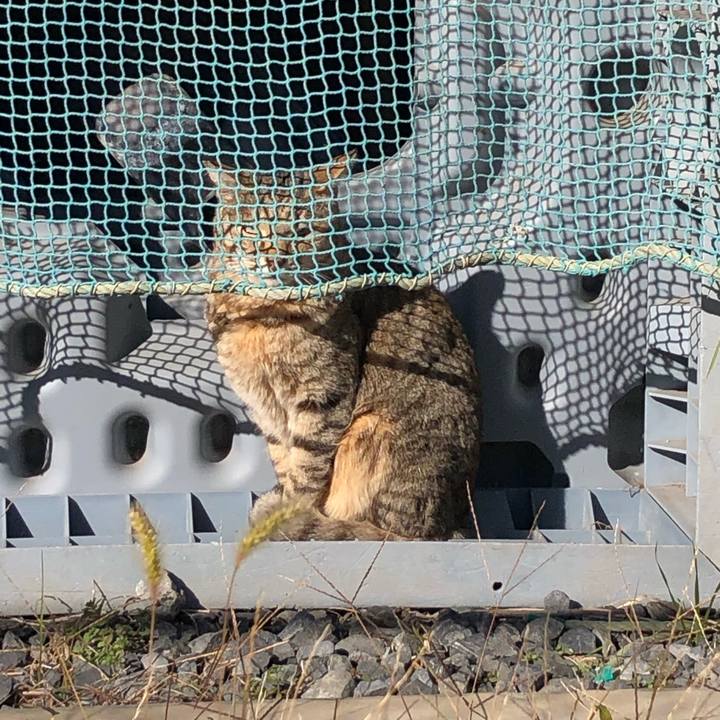 D0315c82 5857 4cb6 bc65 9ced8be39202 1644043605927