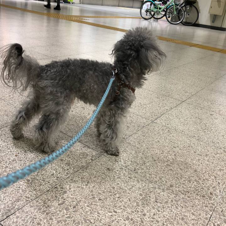 D0317fed 89c6 480a 82cc 8fe0d0c3bd5d 1522504017393