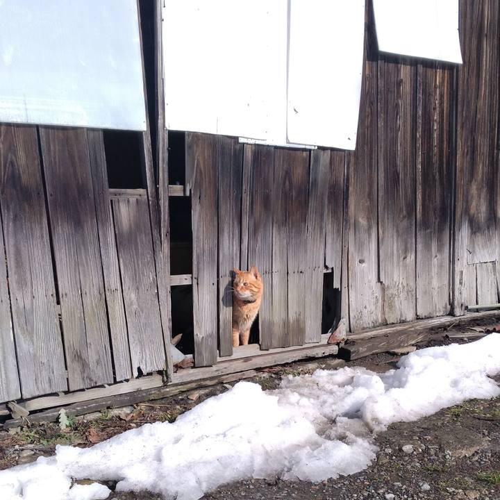 D03199af 997d 4992 965f bc451cc10b59 1768615245694