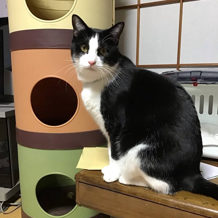 D031b171 84d8 4c61 a9c4 78d0be3022ef 1674132430149