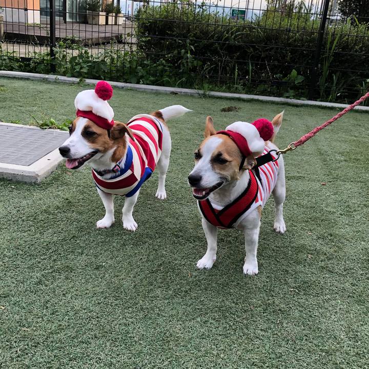 D031bd67 aba2 4b60 b7c6 3d29c6c8545e 1571579101653