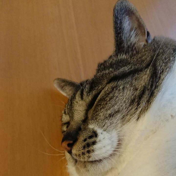 D031f82e 6c26 4393 a0dd 97efefdce16d 1560900813575