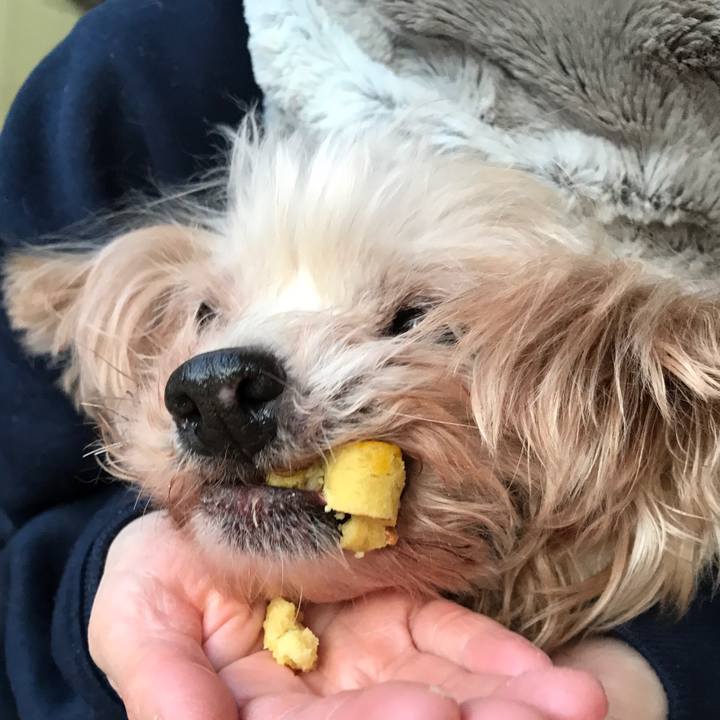 D03212b8 4c4f 4924 9bde 88b92ee9aba8 1547836262741