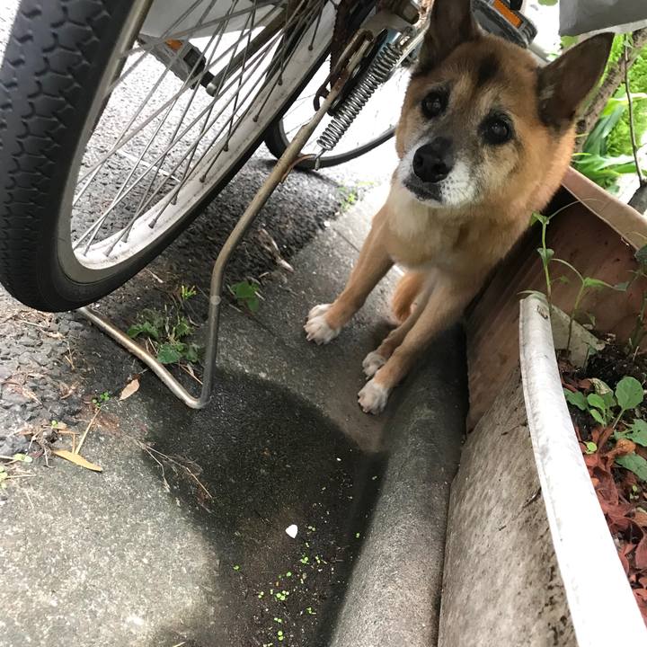 D0321857 faa9 4468 bdbf 54a6d3d0c249 1562710363784