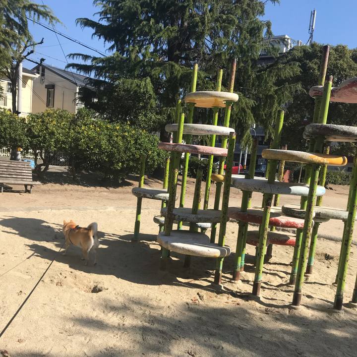 D03255c8 7627 4d9b a9e8 a5f4298ce0e0 1542802044552