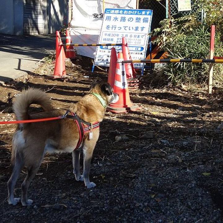 D0325bcc d5ae 4bc3 af80 1df54019b33d 1511574355317