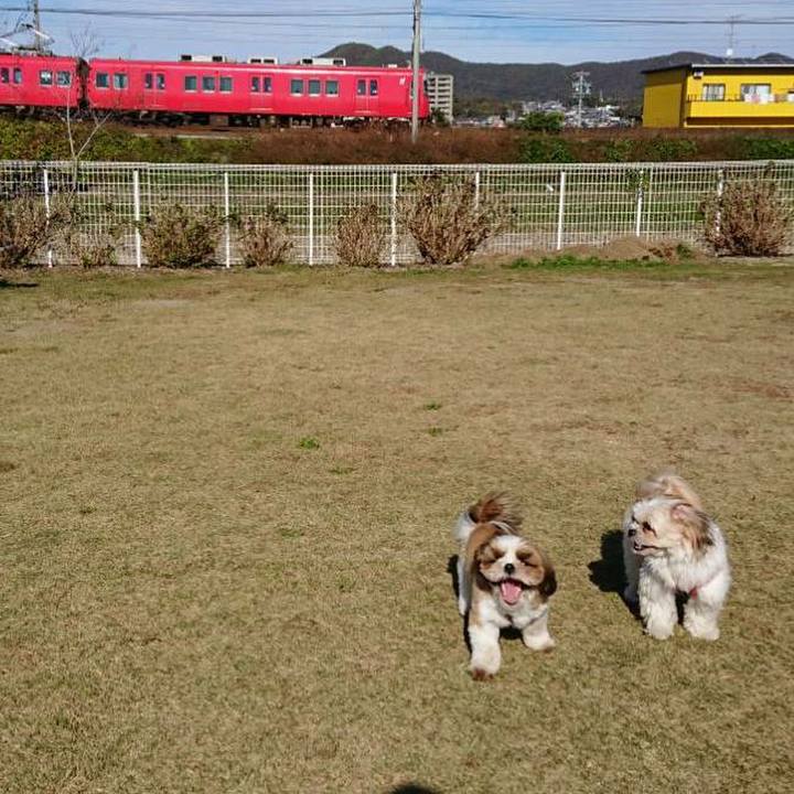 D0326cd6 ab3e 4ad8 9646 80a9ae487f36 1543064985264