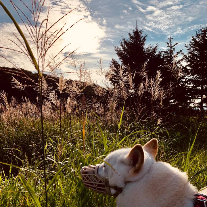 D0328ff9 fb14 4b9b 806a 3b835bee0325 1566427170648