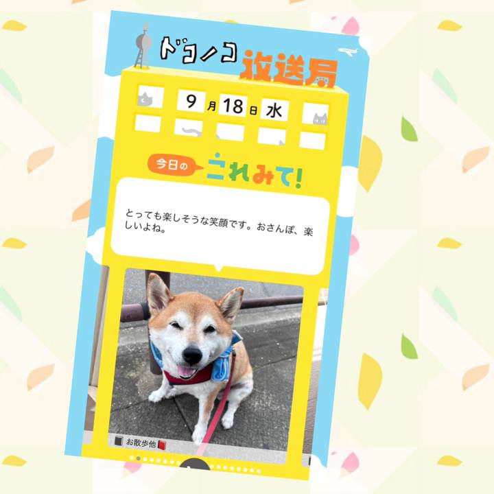 D0329bb4 70d7 4e77 9875 e423e15318e2 1726649908643