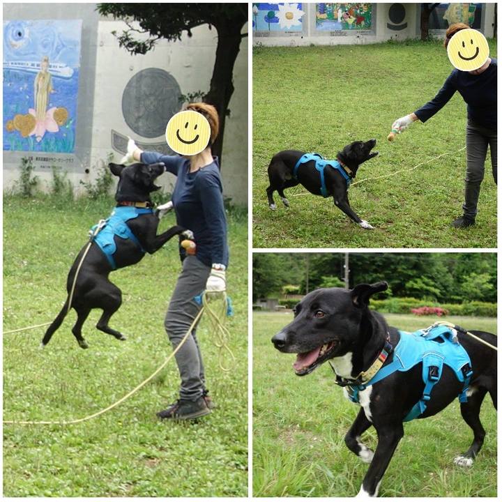 D032bd8a 3d61 4eff a8cc 111223300c56 1621127097848