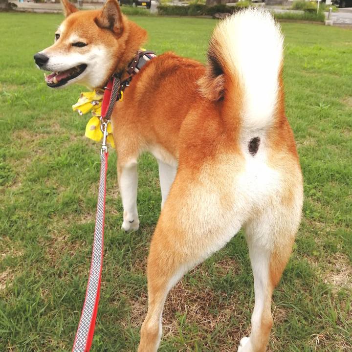 D032c3ff cac3 4349 ad3c fafe3332d9e0 1659692387399