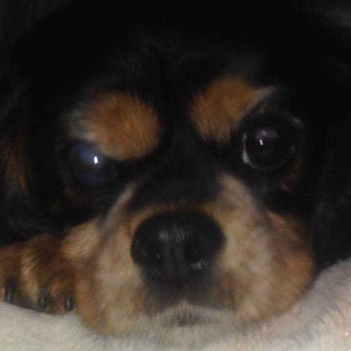 D032ec46 6c0a 46a5 85b9 0808c21c4270 1571149367090