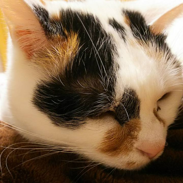 D0330ca9 cd4c 42c6 beb9 de0902d1eb38 1549118130329